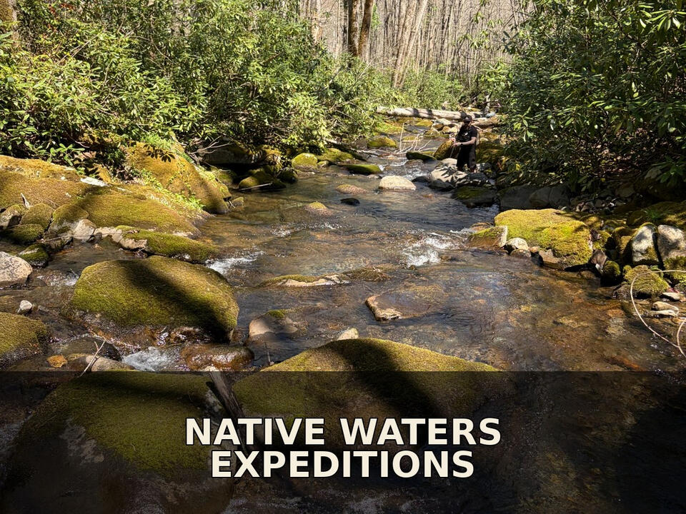 Expeditions Expeditions